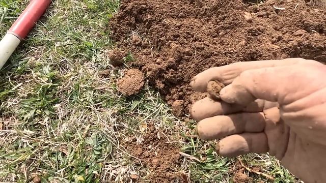 Metal Detecting: Testing A Garrett Axiom Pulse Induction Detector In A Civil War Camp