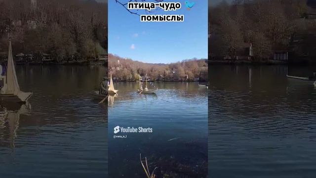 птица-чудо 🐦 помыслы
