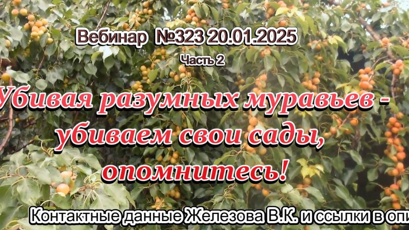 Железов Валерий. Вебинар 323. ч.2. Убивая разумных муравьев- убиваем свои сады, опомнитесь!