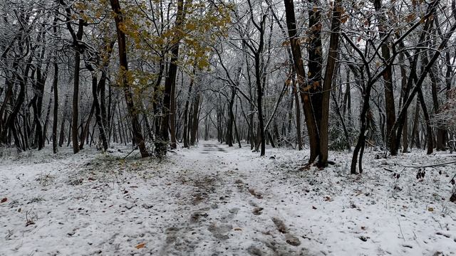 6076435-uhd_3840_2160_30fps
