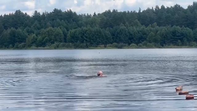 Водные процедуры в торфяном озере Орловского полесья