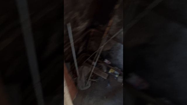 Никольское квартира