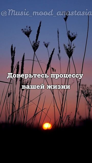Послание от вселенной 🪷 Доверьтесь процессу вашей жизни.