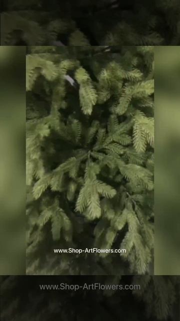 Ёлки 🎄