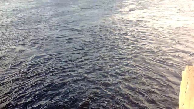 Волны на Цне. VID_20240419_161248