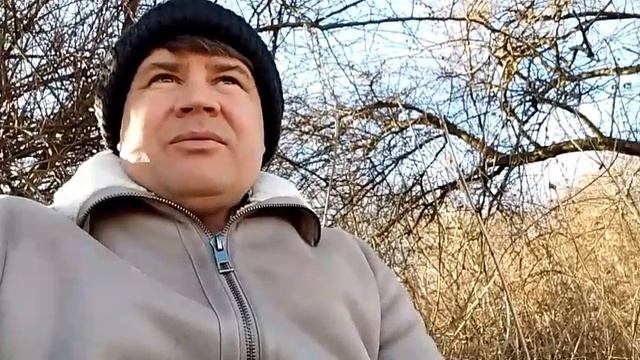 Оранжевый кудесник.