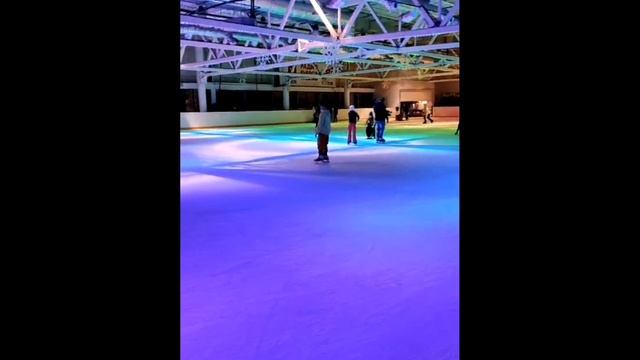 petal_20250121_022459.mp4