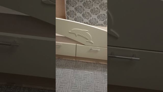 VID_20250118_172500