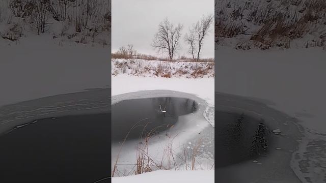 1000034549.mp4