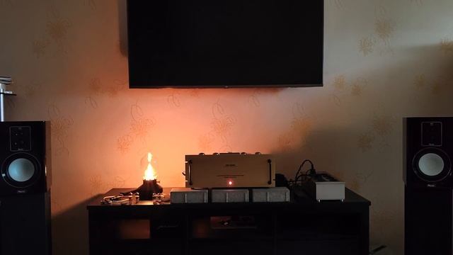 Magnat Signature 903 (демо4)