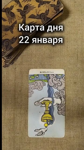 Карта дня 22 января