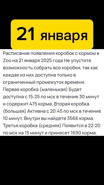 расписание подарков zoo на 21 января.