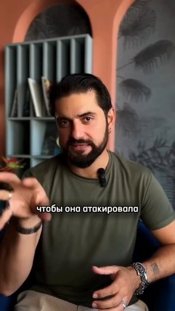 Звуки животных на турецком языке