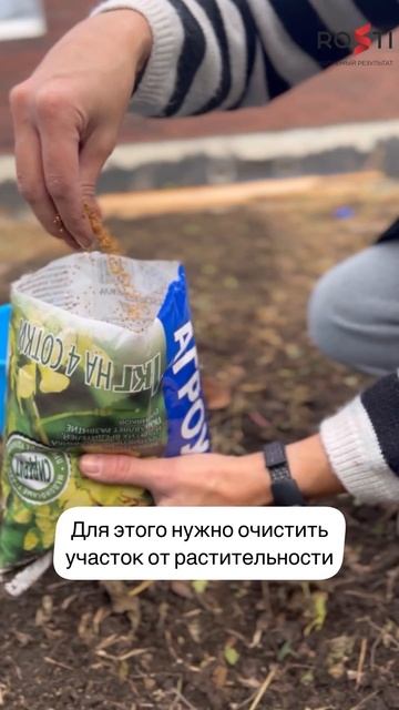 Нужно ли перекапывать сидераты? #дачасадогород #сад #огород #дача #цветоводство