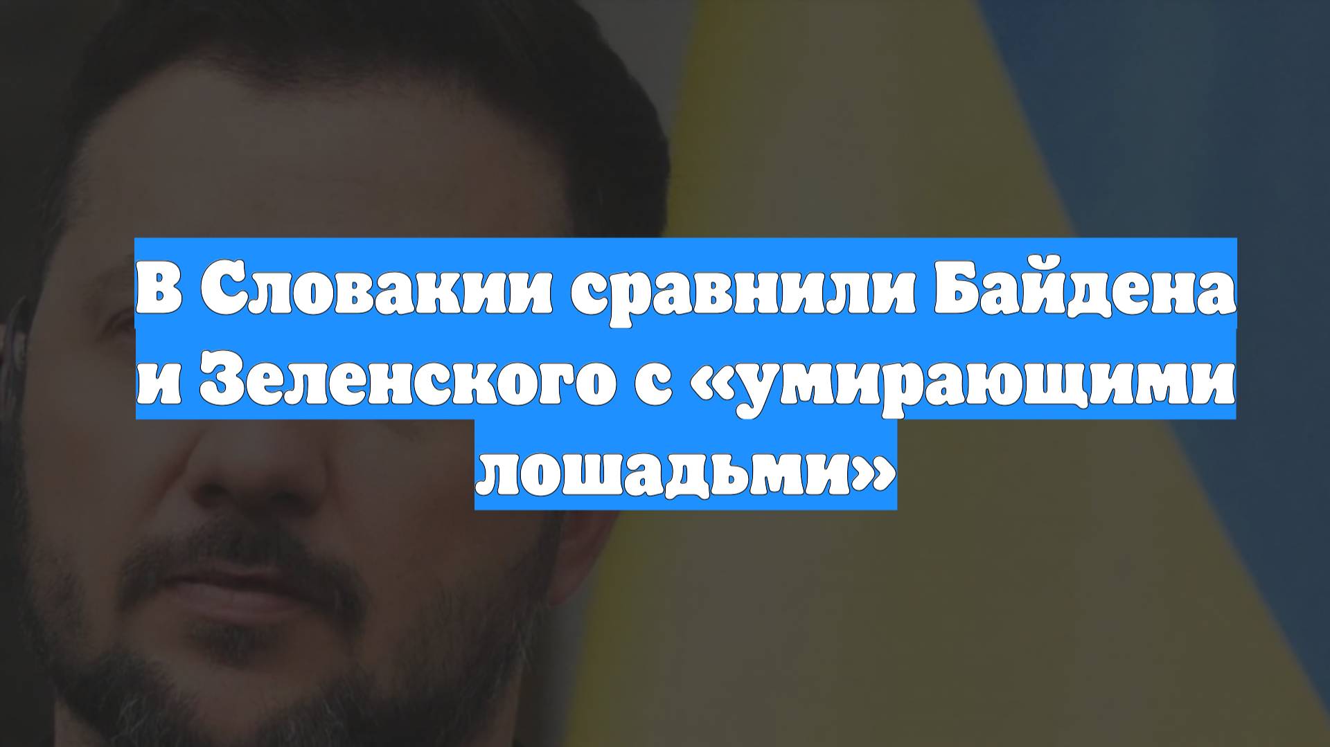 В Словакии сравнили Байдена и Зеленского с «умирающими лошадьми»