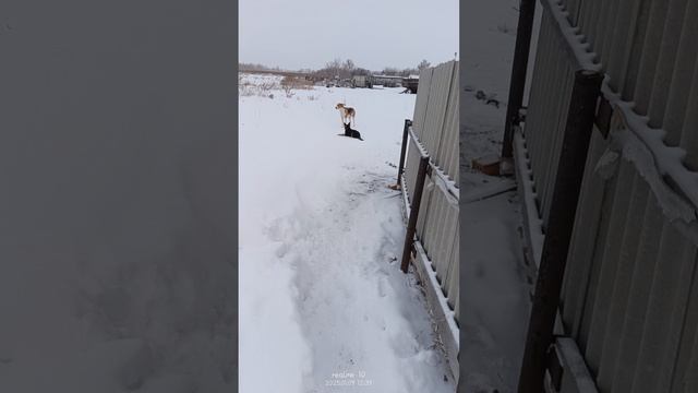 Знакомство с Ладой