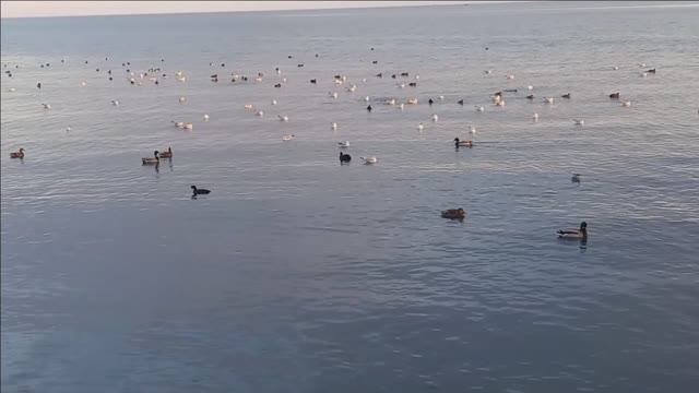 Керчь. Тихая, хорошая погода 20.01.25