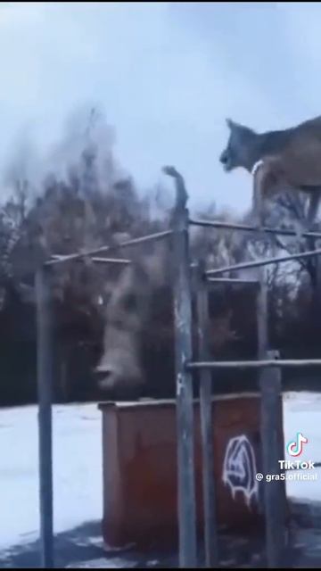 Брат если хочешь в туалет то сходи
