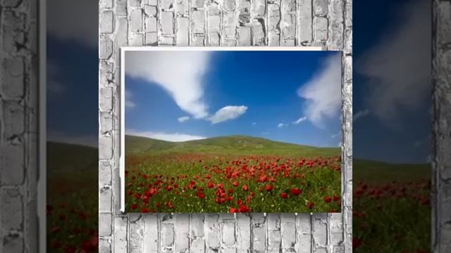 Ahmad-Zahir-Nayab-_51.mp4