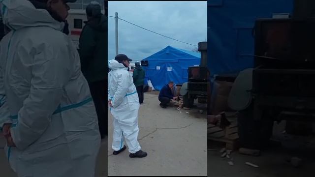 Как тихоречане море спасать помогают
