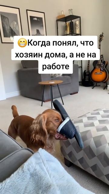 Юмор