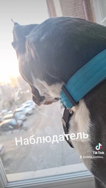 1000109533.mp4