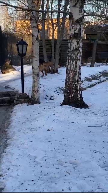 Кики в новом доме