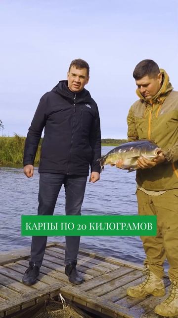 ГДЕ поймать карпа на 20 кг?  Невероятная рыбалка #рыбалка #рыбак