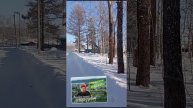 ЦПКиО им. Максима Горького город Николаевск-на-Амуре, отвечая на вопросы in the Peshkov square