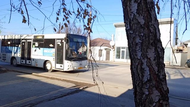 31 автобус на Чехова