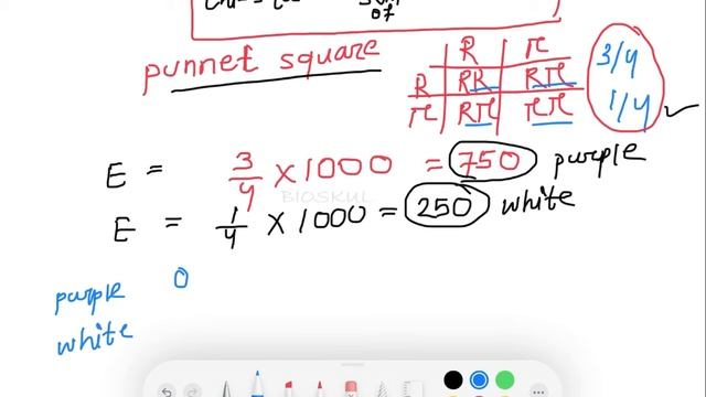 Chi Square Tests and Genetic Crosses