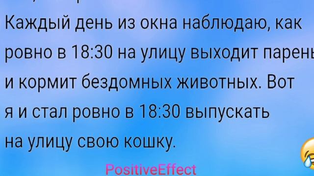 Юмор