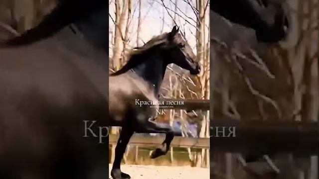 Что посеешь, то пожнешь
