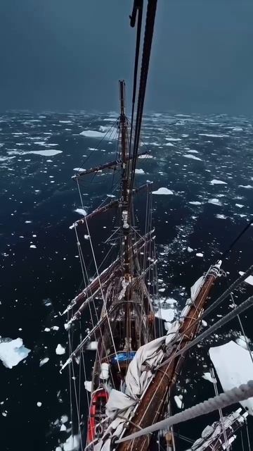 🌍 Антарктика

Вид с самой высокой точки корабля на леденящий океан, на полуострове Антарктики.