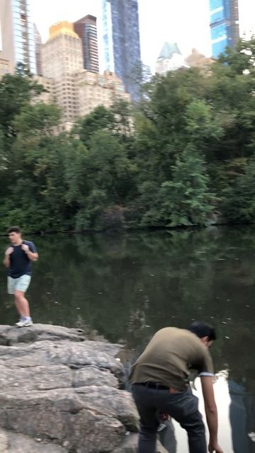 Central Park Home alone New York