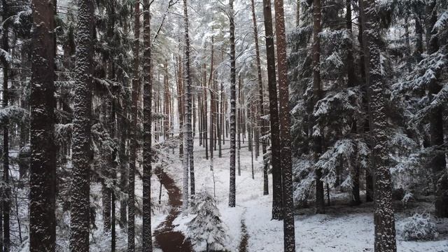 6032377-uhd_3840_2160_30fps