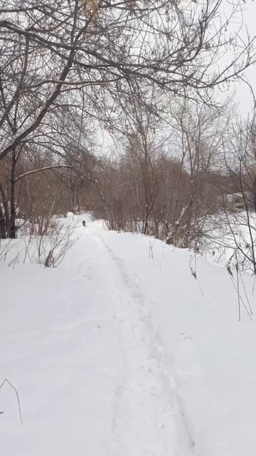 прогулка