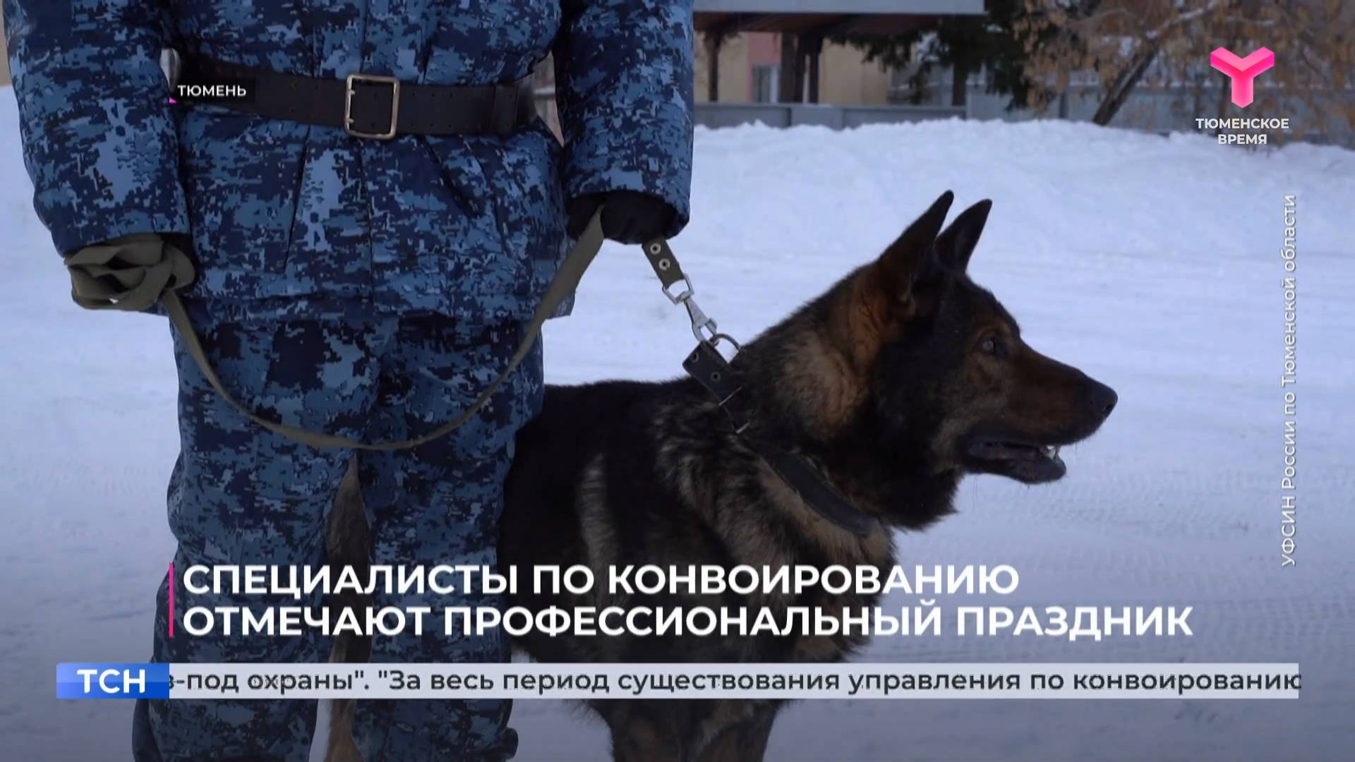 Специалисты по конвоированию отмечают профессиональный праздник