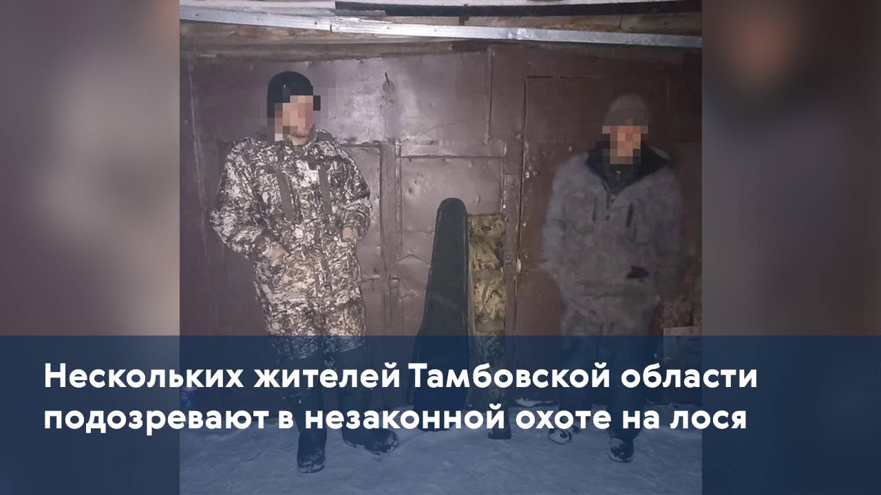 Нескольких жителей Тамбовской области подозревают в незаконной охоте на лося