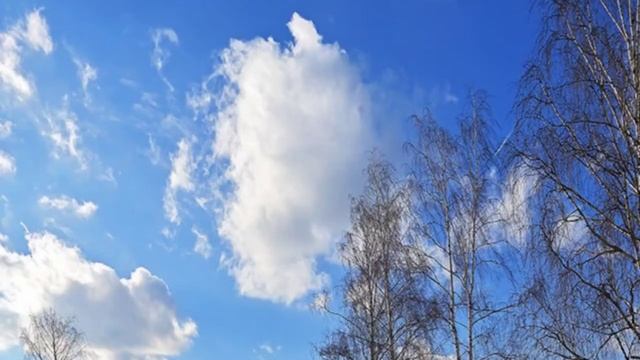 МАРТ_стихи_Цветаева М. И.