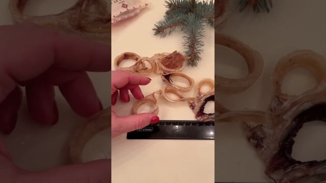 Видео обзор и разбор Трахея говяжья вкусняшки