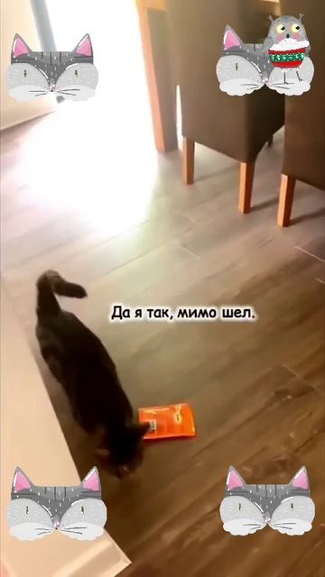 лохматые разбойники
