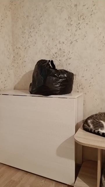 Игры в Прядки