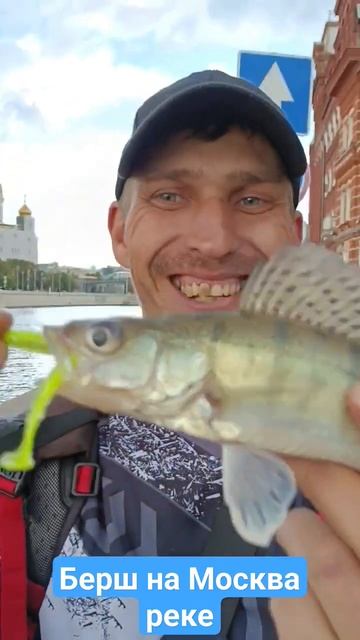 @RCVfishing  ловит берша на Москва реке #рыбалка #спиннинг