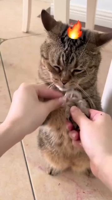 Преступники арестованы