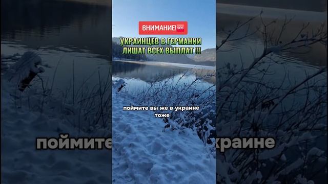 Сопредседатель "Альтернативы для Германии": беженцев надо вернуть на Украину