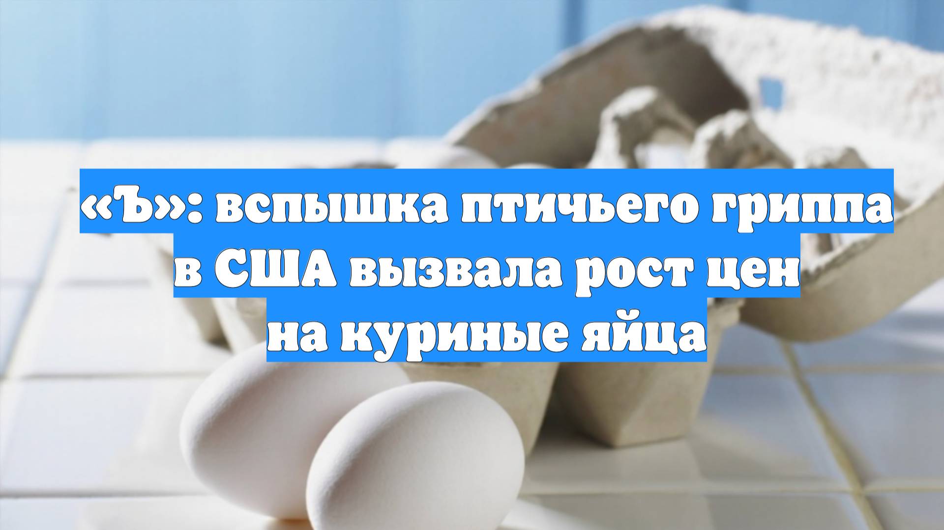«Ъ»: вспышка птичьего гриппа в США вызвала рост цен на куриные яйца