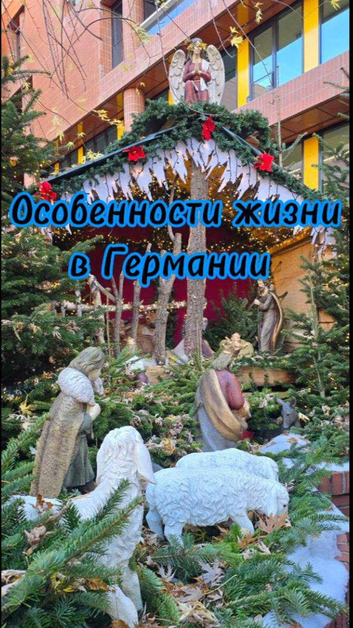 Особенности жизни в Германии🌐