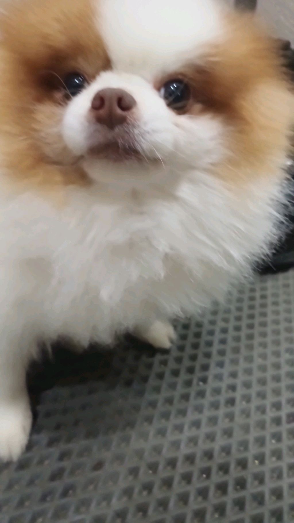 Боня♡