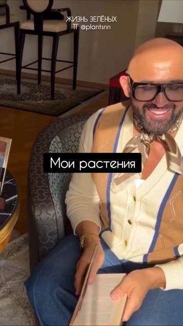 Досвечивать или нет растения зимой? #фитосвет #досветка #shorts